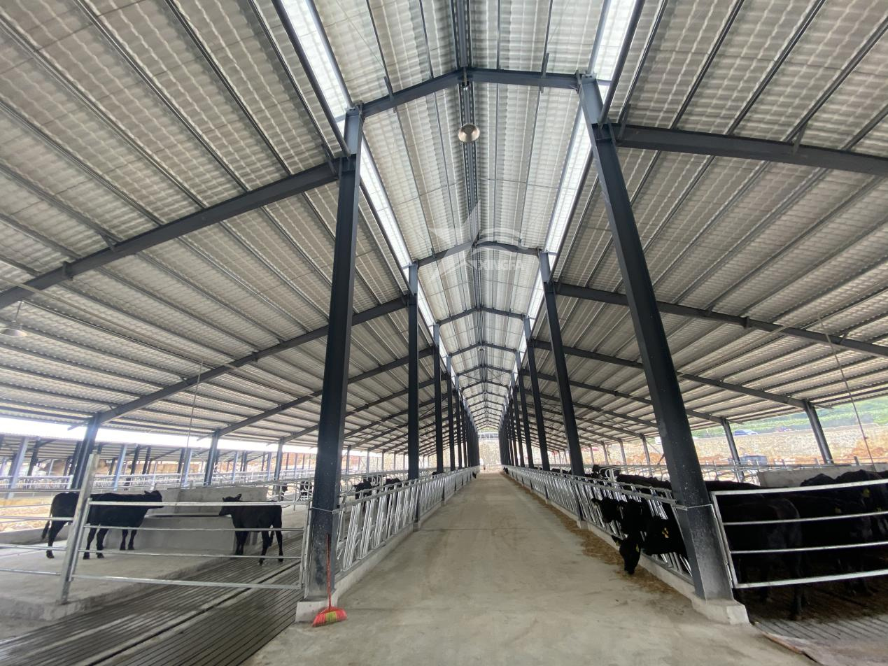 杭州PVC厂房瓦，养殖场工业厂房屋顶改造的优选产品